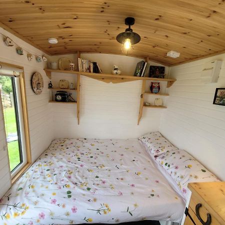 The Shepherds Hut At Forestview Farm Greenisland Exterior foto