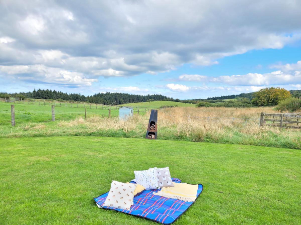 The Shepherds Hut At Forestview Farm Greenisland Exterior foto